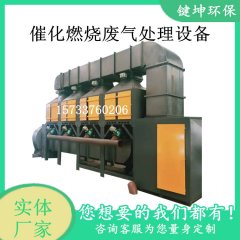 广东制鞋厂VOCs废气处理RCO催化燃烧活性炭吸